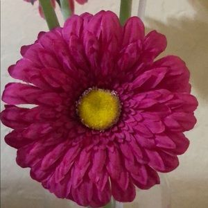 Meet your Posher, Diggy